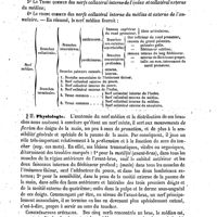 0219 - Page 215 - Médian (Nerf). Anatomie [G. Gillette] / Physiologie [G. Gillette]
