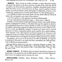 0321 - Page 317 - Médicus (Friedr. Casimir) [E. Beaugrand] (bibliographie) / Médium [G. Planchon] / Mèdre Amboye [G. Planchon] / Médullaires (Artères, Canal, Membrane, Tissu). Voy. Cerveau, Moelle, Os / Médullite. Voy. Ostéomyélite / Médullocelle. Voy. Moelle des os / Méduses [P. Gervais]