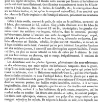 0416 - Page 412 - Mélastomacées [G. Planchon] (bibliographie) / Mélastomes [G. Planchon]