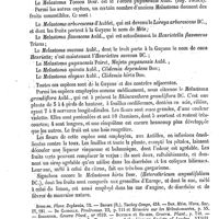 0417 - Page 413 - Mélastomes [G. Planchon] (bibliographie) / Mélène sulfide [P. Schützenberger]