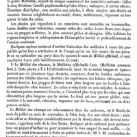0424 - Page 420 - Mélier (F.) [H. Montanier] / Méliguette. Voy. Maniguette / Mélilot / Botanique [G. Planchon]