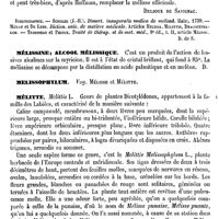 0434 - Page 430 - Mélisse. Emploi médical [J. Delioux de Savignac] (bibliographie) / Mélissine, Alcool mélissique [Amédée Dechambre] / Melissophylum. Voy. Mélisse et Mélitte / Mélitte [G. Planchon]