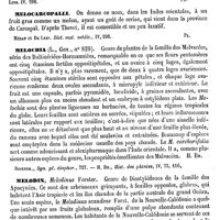 0440 - Page 436 - Mellonures [C. Lutz] / Melocactus [G. Planchon] (bibliographie) / Melocarcopalli [G. Planchon] / Melochia [H. Baillon] / Melodin [G. Planchon] / Meloe [A. Laboulbène]