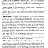 0445 - Page 441 - Melon. Bromatologie et emploi médical [Amédée Dechambre] / Mélongène. Voy. Adbergine / Mélophage du mouton [Amédée Dechambre] / Méloplastie [Amédée Dechambre] / Melopepo [G. Planchon] / Melothria [G. Planchon] (bibliographie) / Mélothron [G. Planchon] / Melt. Voy. Agave et Pulqué / Membranes (Anatomie) [Albert Hénocque]