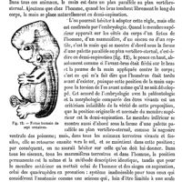 0510 - Page 506 - Membres. Comparaison des membres pelviens et thoraciques [Ch. Martins] (bibliographie)