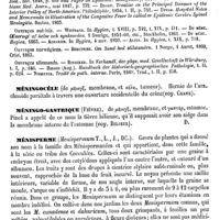 0680 - Page 676 - Méningite [A. Laveran] (bibliographie) / Méningocèle. Voy. Crâne / Méningo-gastrique (Fièvre). Voy. Bilieux / Ménisperme [H. Baillon]