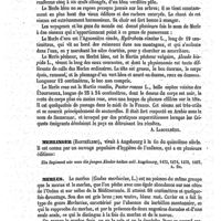 0118 - Page 114 - Merle [A. Laboulbène] / Merlinger (Barthélemy) [A. Dureau] (bibliographie) / Merlus [P. Gervais]