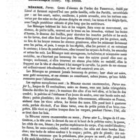 0124 - Page 120 - Mésaconique (Acide) [Amédée Dechambre] / Mésaconique (Éther). Voy. Éthers / Mésange [A. Laboulbène]