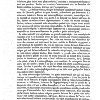 0144 - Page 140 - Mésentériques (Vaisseaux) [V. Paulet] / Mésite [Malaguti]