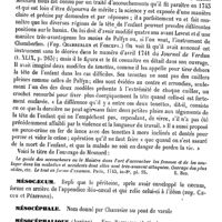 0215 - Page 211 - Mesmérisme [Amédée Dechambre] (bibliographie) / Mesnard (Jacques) [E. Beaugrand] / Mésocaecum. Voy. Coecum et Péritoine / Mésocéphale. Voy. Pont de Varole / Mésocéphalique (Artère). Voy. Basilaire (Artère) / Mésocolon. Voy. Côlon et Péritoine / Mésologie [Jacques Bertillon]