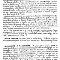 0561 - Page 557 - Miconia [G. Planchon] (bibliographie) / Microcéphalie [Simon Duplay] / Microcosme et Macrocosme [A. Chéreau]