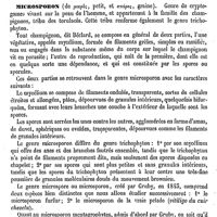 0612 - Page 608 - Microscope solaire [Amédée Dechambre] / Microsporon [E. Bazin]