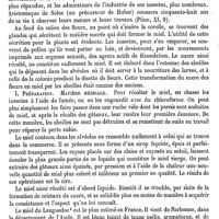 0625 - Page 621 - Miechow (Matthias) [A. Dureau] (bibliographie) / Miel [P. Coulier]