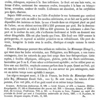0217 - Page 213 - Mimusops [G. Planchon] (bibliographie) / Minadous (Les deux frères) [E. Beaugrand]