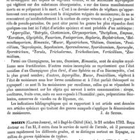 0079 - Page 75 - Moisissures [J. de Seynes] / Moizin (Claude-Joseph) [E. Beaugrand]
