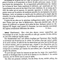 0084 - Page 80 - Mole (Zoologie) [Paul Gervais] / Mole (Obstétrique) [Depaul]