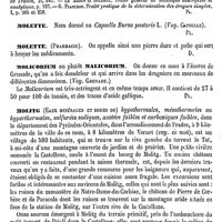 0088 - Page 84 - Molène [G. Planchon] (bibliographie) / Molette. Voy. Capselle [G. Planchon] / Molette (Pharmacie) [Amédée Dechambre] / Molicorium ou plutôt Malicorium [G. Planchon] / Molitg (Eaux minérales et boues de) [A. Rotureau]