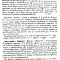 0112 - Page 108 - Mollusques [Paul Gervais] (bibliographie) / Molly. Voy. Moly / Moloch [Paul Gervais] / Molosse [Paul Gervais] / Molucelle ou Moluque [G. Planchon]