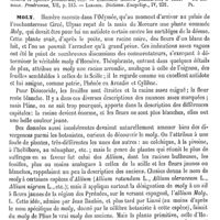0113 - Page 109 - Molucelle ou Moluque [G. Planchon] (bibliographie) / Moly [G. Planchon]