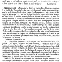 0116 - Page 112 - Momification [Albert Hénocque] / Momordique [G. Planchon]