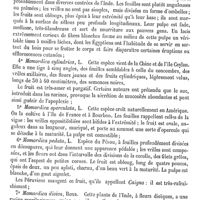 0117 - Page 113 - Momordique [G. Planchon] (bibliographie) / Monaco (Station hivernale et marine) [A. Rotureau]