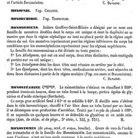 0200 - Page 196 - Monomphaliens [C. Davaine] / Monopsie. Voy. Cyclopie / Monorchidie. Voy. Testicules / Monosomiens [C. Davaine] / Monostéarine [Malaguti] / Monostomes [Amédée Dechambre] / Monotrèmes [Paul Gervais]