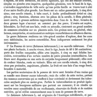 0463 - Page 459 - Morel-Lavallée (Victor-Auguste-François) [E. Beaugrand] (bibliographie) / Morelle / Botanique [G. Planchon]