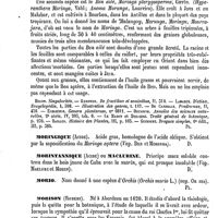 0480 - Page 476 - Moringa [G. Planchon] (bibliographie) / Moringique (Acide) [Amédée Dechambre] / Morintannique (Acide) ou Maclurine [Amédée Dechambre] / Morio [G. Planchon] / Morison (Robert) [A. Dureau]
