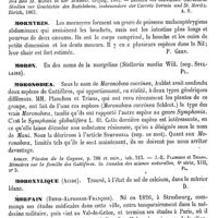 0489 - Page 485 - Moritz (Saint-) (Eaux minérales de) [A. Rotureau] (bibliographie) / Mormyres [Paul Gervais] / Moron [G. Planchon] / Moronoboea [G. Planchon] / Moroxylique (Acide) [Amédée Dechambre] / Morpain (Denis-Alphonse-François) [E. Beaugrand]