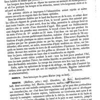 0050 - Page 46 - Morue (Sécheries de). Hygiène publique [E. Beaugrand] / Morus. Voy. Mûrier / Morve [H. Bouley]