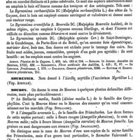 0230 - Page 226 - Moullera [G. Planchon] (bibliographie) / Moundas. Voy. Malaisie / Moureila. Voy. Moureiller / Moureiller [G. Planchon] / Mouretier. Voy. Airelle / Mouron [G. Planchon] / Mourride. Voy. Arum / Mousa ben Mimoun (Abou Amran Mousa ben Mimoun, dit aussi ben Obeid Allah, el Corthoby, el Israily) [L. Leclerc]