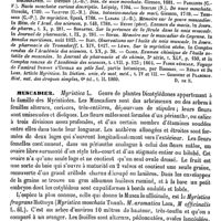 0503 - Page 499 - Muscades. Emploi médical [J. Delioux de Savignac] (bibliographie) / Muscadier [G. Planchon]