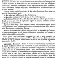 0504 - Page 500 - Muscadier [G. Planchon] (bibliographie) / Muscari [G. Planchon]