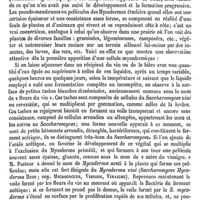 0182 - Page 178 - Mycoderme [J. de Seynes]