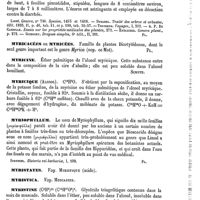 0323 - Page 319 - Myrica [G. Planchon] (bibliographie) / Myricacées ou Myricées [G. Planchon] / Myricine [Schützenberger] / Myricique (Alcool) [Schützenberger] / Myriophyllum [G. Planchon] / Myristates. Voy. Myristique (Acide) / Myristica. Voy. Muscadier / Myristine [Schützenberger] / Myristique (Acide) [Schützenberger]