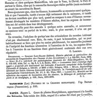 0400 - Page 396 - Nanomélie [O. Larcher] (bibliographie) / Nanscond (Les) (Naturels de la Colombie britannique). Voy. Britanniques (Possessions) / Napée [G. Planchon]