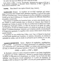 0401 - Page 397 - Napée [G. Planchon] (bibliographie) / Napel. Voy. Aconit / Napelline (Chimie) [C. Lutz] / Naphtalhydrures [C. Lutz]