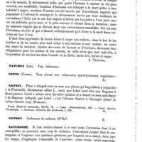 0535 - Page 531 - Natation [A. Tartivel] / Natchez (Les). Voy. Amérique / Nates (Fesses) [Amédée Dechambre] / Natrix [G. Planchon] (bibliographie) / Natron [Amédée Dechambre] / Naturisme [Amédée Dechambre]