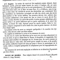 0006 - Page 2 - Navarrete (Francisco-Fernandez) [L. Hahn] (bibliographie) / Navet / Botanique [G. Planchon] / Emploi [Amédée Dechambre] / Navet du diable. Voy. Bryone [G. Planchon] / Navet galant. Voy. Bryone / Navette [G. Planchon] / Naviculaire (Fosse). Voy. Urèthre et Vagin / Navier (Pierre-Toussaint) [A. Dureau]