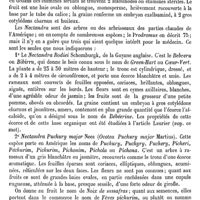 0057 - Page 53 - Nectaire (Saint) (Eaux minérales et cures de petit-lait de) [A. Rotureau] (bibliographie) / Nectandra [G. Planchon]