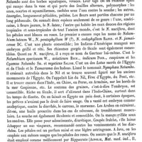 0091 - Page 87 - Nelumbo [H. Baillon] (bibliographie) / Nématés. Voy. Champignon