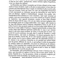 0092 - Page 88 - Nématoïdes [Paul Gervais]