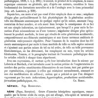 0105 - Page 101 - Néomembrane [Ch. Robin] / Néoplasie [Ch. Robin] / Népaul. Voy. Hindoustan / Nèpe [A. Laboulbène]