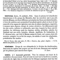 0128 - Page 124 - Nepple (P.-Frédéric) [E. Beaugrand] (bibliographie) / Neptunia [H. Baillon] / Néréides [Paul Gervais] / Nerfs / Anatomie générale [J. Renaut]