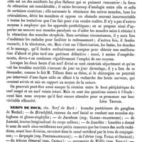0317 - Page 313 - Nerfs. Pathologie chirurgicale [Léon Tripier] / Nerfs de Bock, etc [Amédée Dechambre] / Neri-Visham [G. Planchon] (bibliographie) / Nerion [G. Planchon]