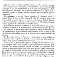 0005 - Page 1 - Nez [E. Spillmann] / Anatomie [E. Spillmann]