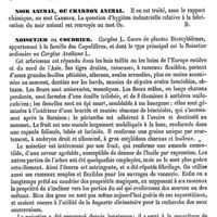 0300 - Page 296 - Nointot (Eau minérale de) [A. Rotureau] / Noir animal, ou Charbon animal [Amédée Dechambre] / Noisetier ou Coudrier [G. Planchon]