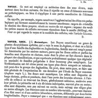 0722 - Page 718 - Novella (Cosme) [L. Hahn] (bibliographie) / Noyau [Amédée Dechambre] / Noyer, Noix / Botanique [H. Baillon]