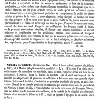 0786 - Page 782 - Nuphar [H. Baillon] (bibliographie) / Nursia ou Norcia (Benedetto Da) [A. Chéreau]