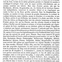 0817 - Page 813 - Nyctaginacées, Nyctaginées [H. Baillon] (bibliographie)
